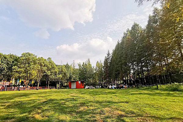 大連金普新區(qū)出重拳治揚塵 全力守護“清新藍”