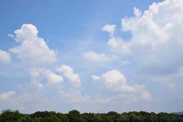 淮南市：強化源頭管控 掀起大氣污染防治“夏季攻勢”