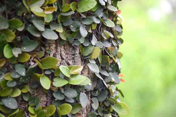 全國(guó)已建成“兩級(jí)、三類(lèi)、一清單”的生態(tài)環(huán)境分區(qū)管控體系 