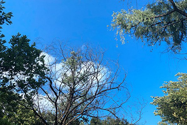 烏魯木齊道路積塵治理有妙招：動(dòng)態(tài)監(jiān)測(cè) 聯(lián)合督導(dǎo)，助力空氣質(zhì)量改善