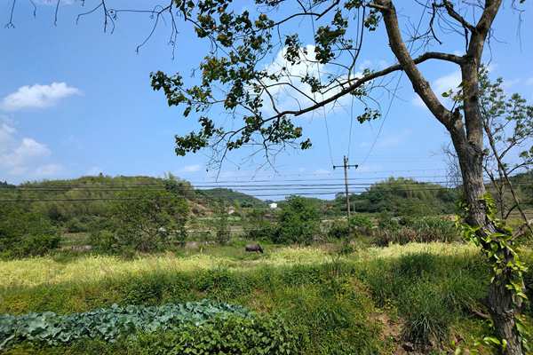 京津冀及周邊地區(qū)出現(xiàn)中至重度污染，多地啟動(dòng)預(yù)警積極應(yīng)對(duì)